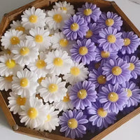 Premium Soy Wax Scented Candles